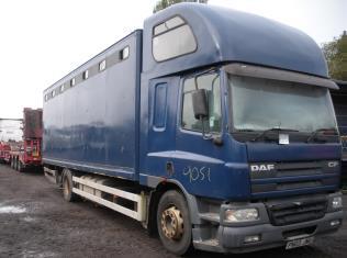 /stock-photos/1950644528Daf Cf Lorry Horse Conveyancer.jpg